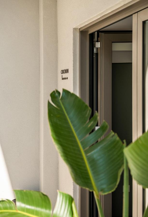 Cocoon Hostal *